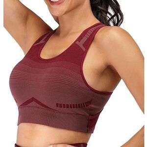 Seamless Maroon High-Comfort Sports Bralette